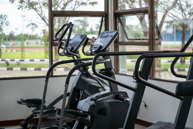 Sport Facility Development